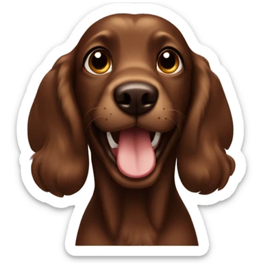 A brown like chocolate cocker which is happy  sticker