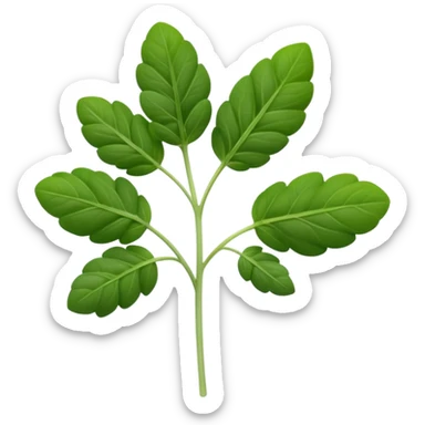 small sprig of fresh oregano with oval slightly fuzzy green leaves on thin tender stems, leaves clustered and layered with subtle natural curves and soft midrib veins, color ranges from vibrant to muted green, no pot scissors or extras, apple emoji style, soft lighting, subtle shadows, emoji scale sticker