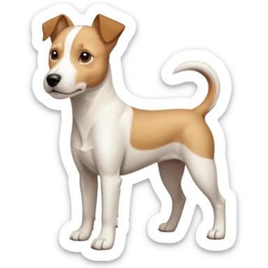 a full body facing front on of a buff white parson russell terrier looking dog the size of a kelpie with light brown long ears resting on its face and a light brown patch above one eye and a large snout. the rest of the dog is completely white.  sticker