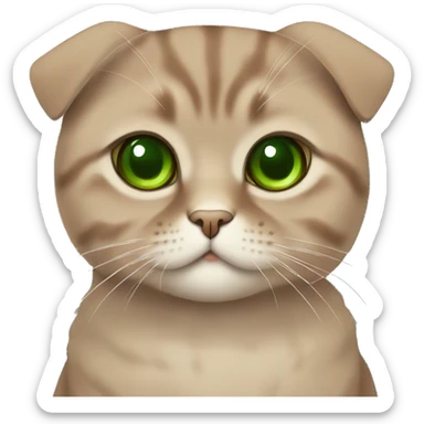 Brown scottish fold cat with green eyes  sticker