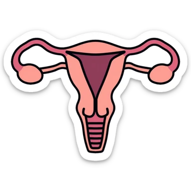 simple medical diagram of male reproductive anatomy, tasteful, anatomical sticker