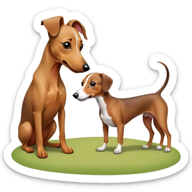 Whippet and a Dashaund  sticker