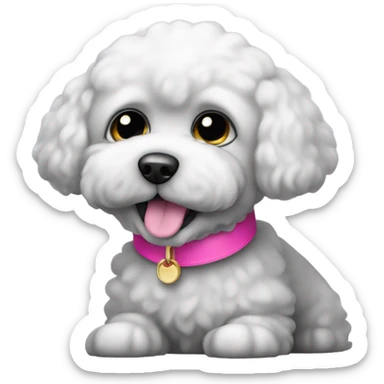 Black bichon dog with a pink collar - no white sticker