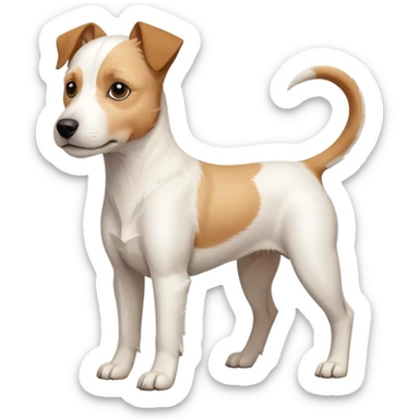 a full body buff white parson russell terrier looking dog the size of a kelpie with light brown long ears and a light brown patch on one eye and a large snout. the rest of the dog is completely white. forward facing sticker