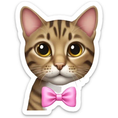 Female tabby cat with pink bow sticker