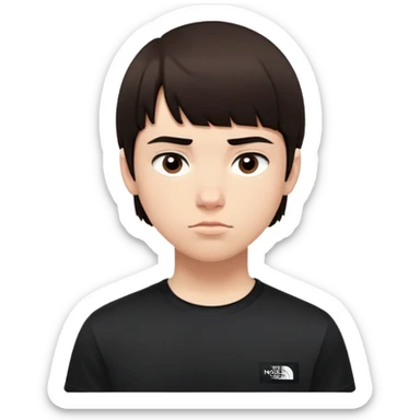 escrição para o emoji:

Rosto de um jovem com pele clara e cabelo castanho escuro, curto e bem penteado, com franja leve e lados limpos.

Expressão facial neutra/séria, com olhos ligeiramente abertos e lábios fechados, sem sorrir.

Sobrancelhas grossas e retas, bem definidas.

Está usando uma camiseta preta da The North Face, com o logotipo visível (pode simplificar ou omitir no emoji).

O emoji deve ser no estilo cartoon, com o rosto em destaque e sem fundo.

A pose é frontal, olhando direto para a "câmera", ideal para um emoji com expressão mais calma ou neutra. sticker
