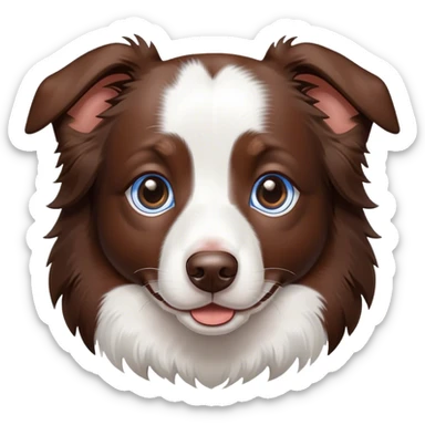 Border collie chocolate merle whit white and Brown dots and 1 blue eye and 1 Brown eye sticker
