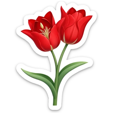 tulip flower entwined with an amaryllis flower sticker