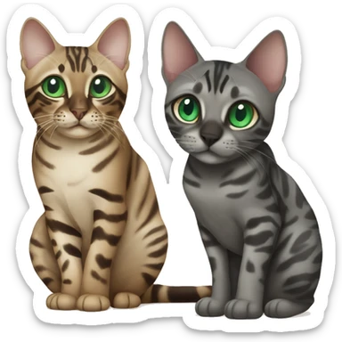 Seal Bengal CAT with Blue eyes with a charcoal Sepia bengal cat with Green eyes sitting  sticker