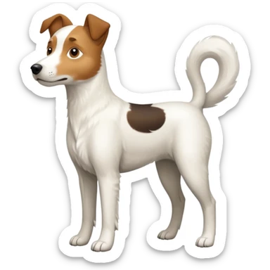 a full body large white parson russell looking dog the size of a kelpie with light brown ears and a light brown patch on one eye and a large snout sticker