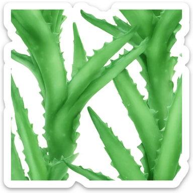 Aloe vera sticker