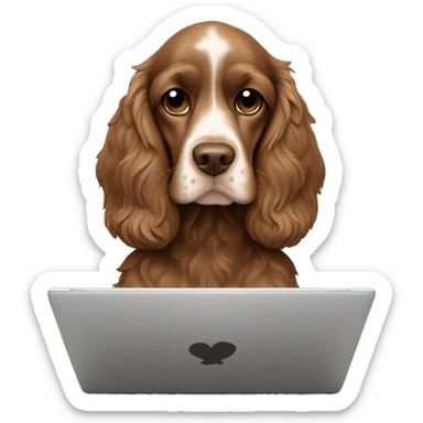 brown cocker spaniel wearing a black hoodie viewing a laptop sticker
