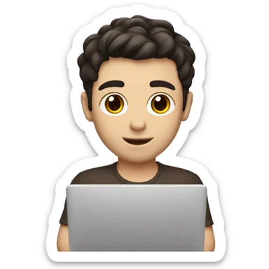 White boy, dark hair, brown eyes, mid split haircut. Developer holding a laptop. sticker