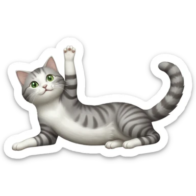 grey and white cat with green eyes doing a big extremely long stretch reaching up into the air with arms and legs side by side together straight and overextended whilst lying on its side sticker