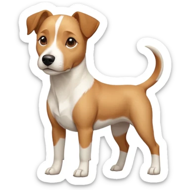 a full body facing front on of a buff white beagle cross jack russell terrier looking dog the size of a kelpie with light brown long ears resting on its face and a light brown patch above one eye and a large snout. the rest of the dog is completely white.  sticker