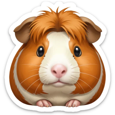 Баллы твич Морская свинка размер 28x28 прозрачный фон png Макс. размер — 25 Кб. sticker