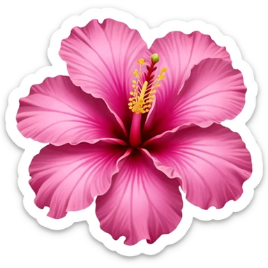 hibiscus flower pink sticker