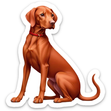 cinematic-[Vizsla-realistic-full-body-sitting-emoji,-tail-resting-loosely-beside-its-paws,-head-tilted-dramatically, -sleek-[red]-fur,-simplified-yet-realistic-focused-features,-highly-detailed,-glowing-with-an-almost-sarcastic-glow sticker