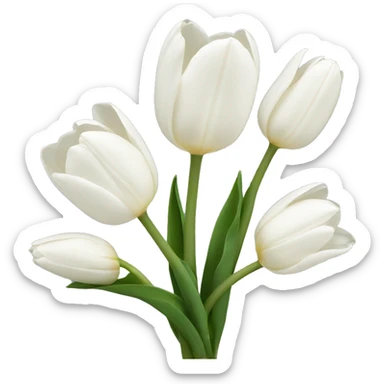 White tulips sticker