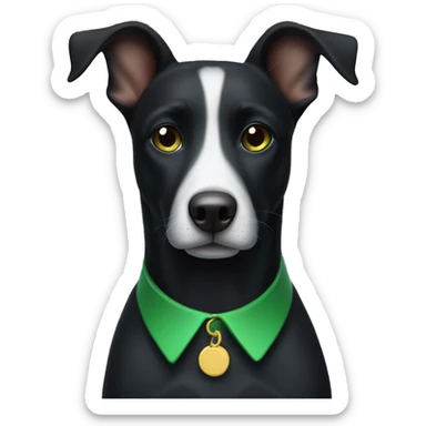 black dog with a white spot on the chest and a green collar sticker