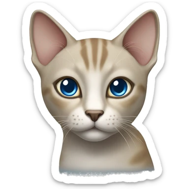 Thai breed realistic adult cat with a light cream -brown body, dark gray face, ears, and paws. Short fur, sharp ears, striking light blue eyes  sticker