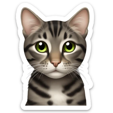Dark brown and black and dark grey tabby dark brown black spotted with white paws cat with brown-green eyes  sticker