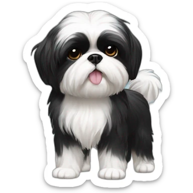 black Shih-Tzu white chest and feet sticker