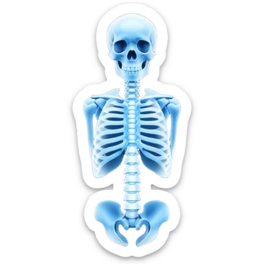 3D render of Spine X-Ray, X-Ray imaging aesthetic, translucent materials showing internal structure, vertebrae column in classic deep blue x-ray style, medical scan style, emoji style, isolated on white background --v 6.0. sticker