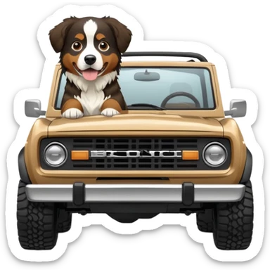 Sand colored ford bronco with no roof and Bernese mountain dog in the back sticker