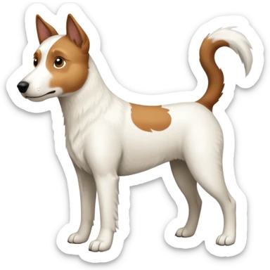 a full body large white parson russell looking dog the size of a kelpie with light brown ears and a light brown patch on one eye and a large snout sticker