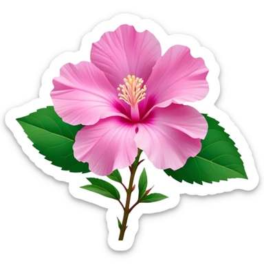 Cinematic Realistic image of a Mugunghwa flower (Rose of Sharon), rendered with delicate petal textures and vibrant pink hues, set against a minimalist background with gentle, diffused lighting that highlights its national significance sticker