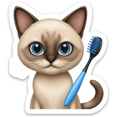 siamese cat, tooth brush, hair brush sticker
