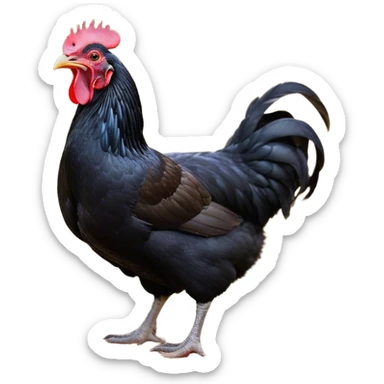 Cinematic Cute Yawning Black Chicken Portrait Emoji, Head tilted slightly with a dramatic, wide-open yawn, showcasing a soft, glossy black plumage with subtle hints of iridescence and a distinctive red comb, floppy wings slightly drooping, round beady eyes barely open in drowsy contentment, Simplified yet irresistibly adorable features, highly detailed, glowing with a soft, cozy glow, high shine, relaxed yet expressive, stylized with a touch of whimsy, bright and endearing, soft glowing outline, capturing the essence of a sleepy yet affectionate chicken, so drowsy it feels like it could stretch out of the screen and curl up for a nap! sticker