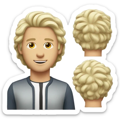 white man-wavy-hair-middle-parting sticker