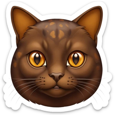 dark chocolate brown burmese cat with tortoise shell fur with small patchy areas  and amber eyes  sticker
