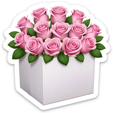 bouquet of pink 30 roses in a white box，no sticker