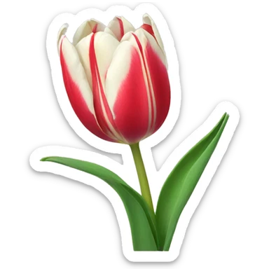Tulip sticker