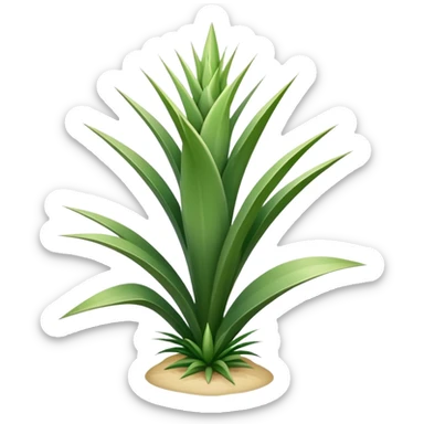 yucca plant with spiky green leaves sticker