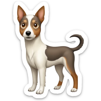 a full body large white floppy eared parson russell looking dog the size of a kelpie with light brown ears and a light brown patch on one eye and a large snout sticker