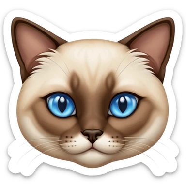 A siamese cat with blue eyes, laying down sticker