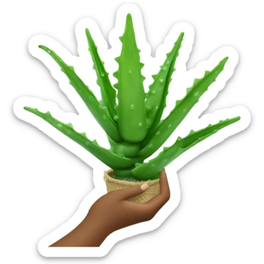 aloe vera in hand sticker