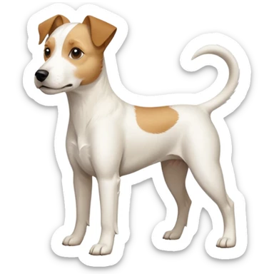 a full body buff white parson russell terrier looking dog the size of a kelpie with light brown long ears and a light brown patch on one eye and a large snout. the rest of the dog is completely white. forward facing sticker