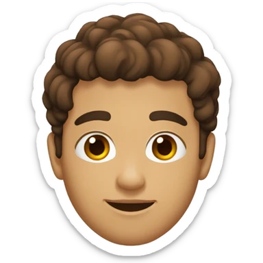 Chico adolescente flaco, alto, pelo castaño, ojos marrones, de piel blanca sticker