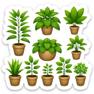 plants culture. Transparent background sticker
