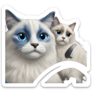 Two blue point ragdoll cats driving a car  sticker
