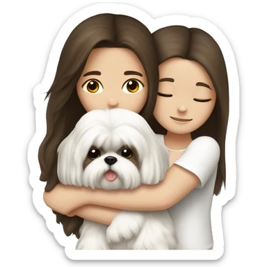 Brunette girl long hair, hugging her white Shih tzu sticker