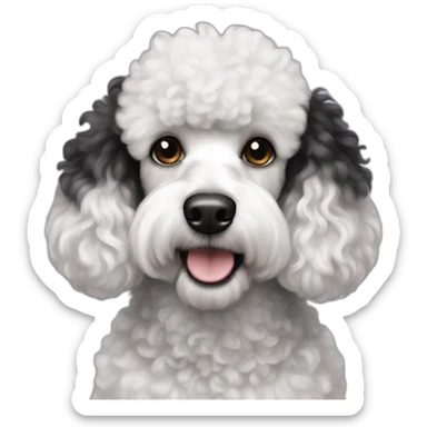 black and white patches poodle sticker