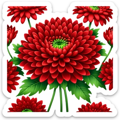 big bouquet Bright Red Chrysanthemum, luxuriant, leaf, bud sticker