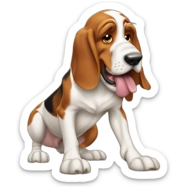 angry basset fauve de bretagne licking paw sticker