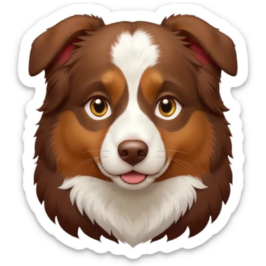 A tri color Australian shepherd with a chocolate brown base coat, red/gold fur on his eyebrows and snout/cheeks, a white chest, and gold eyes. No white fur on his face, only brown and gold. sticker